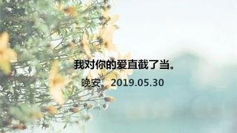 爱情诗背景音乐,爱情诗背景音乐赏析